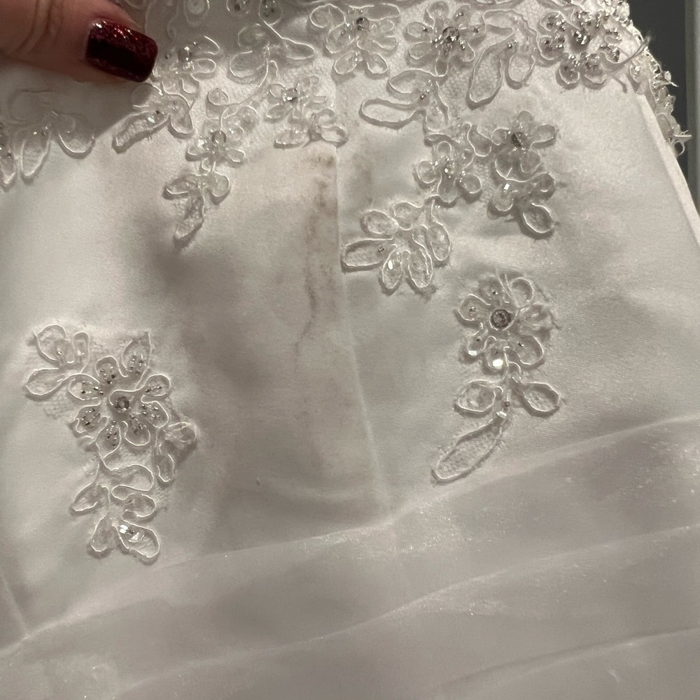 David’s bridal 9L9479 wedding gown - Picture 9 of 17